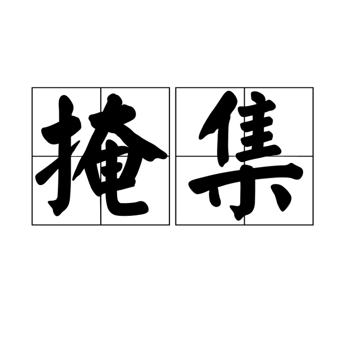 掩集