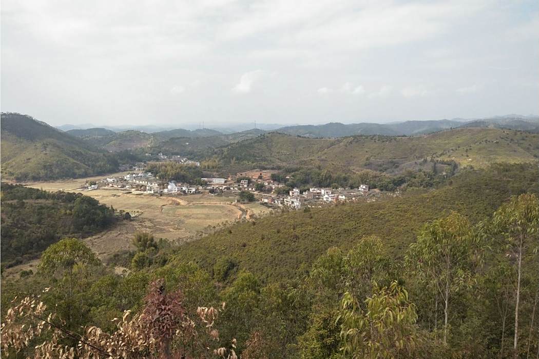 錦洞村(廣東省興寧市永和鎮錦洞村)