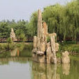 宛城盧園 宛城盧園