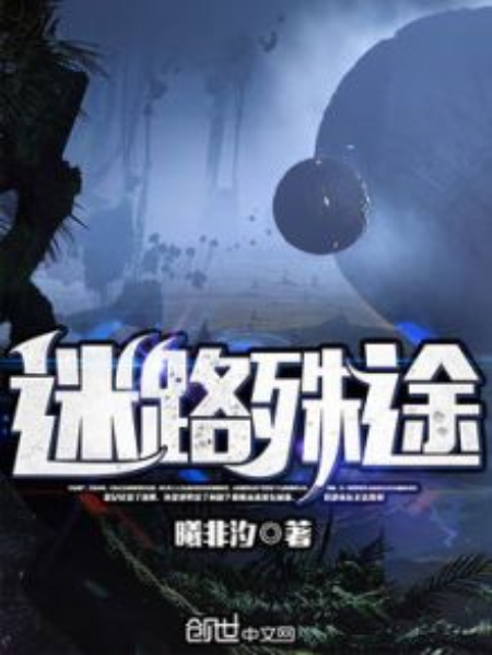 迷路殊途 迷路殊途
