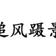 追風躡景