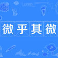 微乎其微 微乎其微