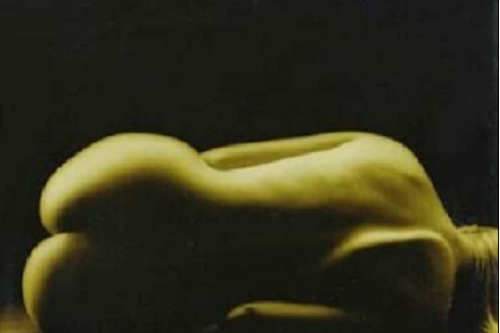 金絲貓(2001年法國電影) 金絲貓(2001年法國電影)