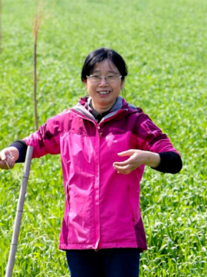 朱小勤(浙江省海鹽縣農業綜合行政執法隊種植業執法分隊(海鹽縣植物檢疫站)隊長(站長)) 朱小勤(浙江省海鹽縣農業綜合行政執法隊種植業執法分隊(海鹽縣植物檢疫站)隊長(站長))