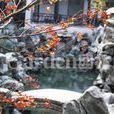 蘇州繡園 蘇州繡園