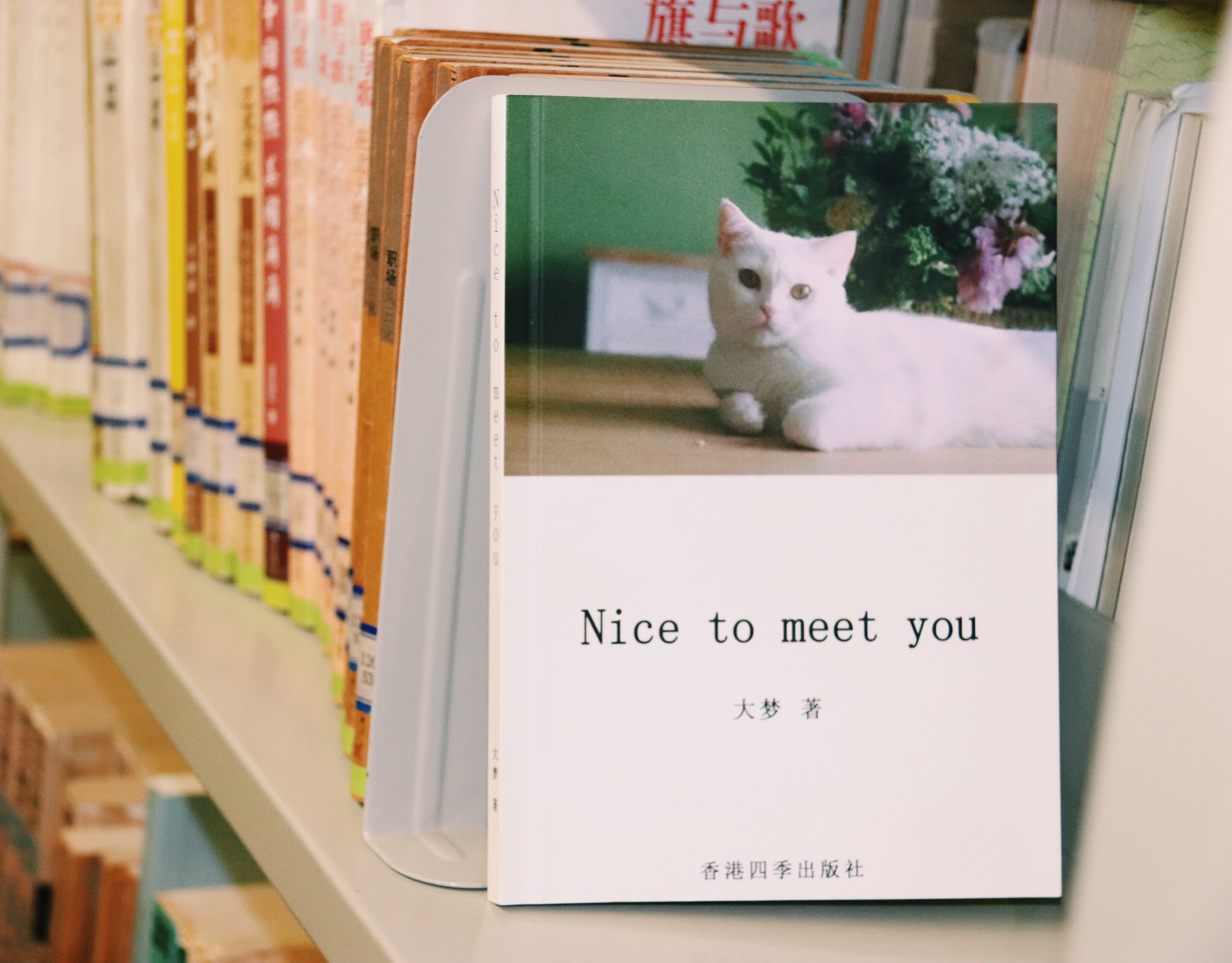 nice to meet you(書籍)