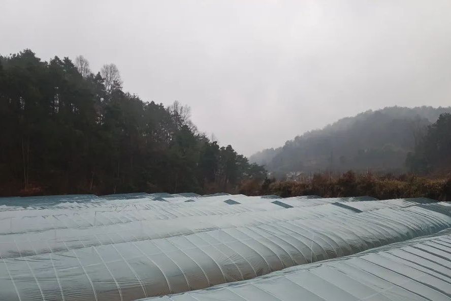 小山村(貴陽市花溪區久安鄉下轄村) 小山村(貴陽市花溪區久安鄉下轄村)