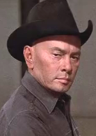 西部世界(美國1973年麥可·克萊頓執導電影) 西部世界(美國1973年麥可·克萊頓執導電影)