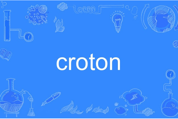 croton croton
