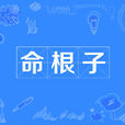 命根子 命根子