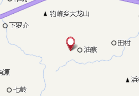 涼傘樹 涼傘樹