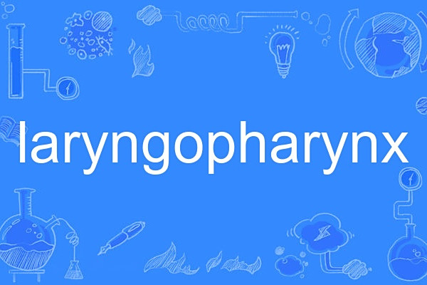 laryngopharynx