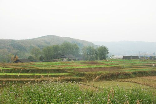 爛草坪遺址 爛草坪遺址