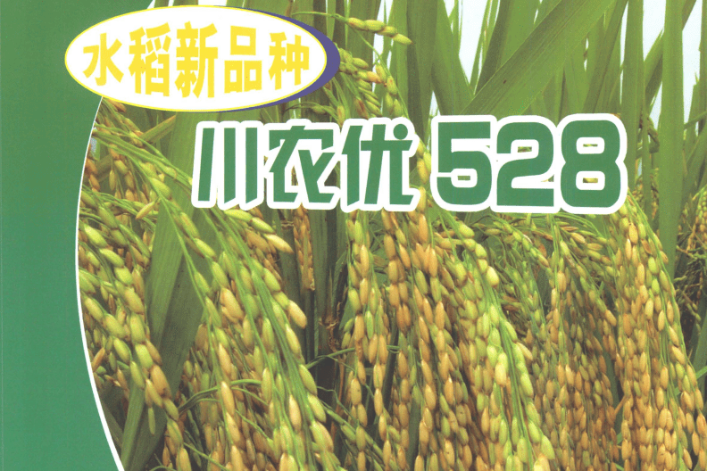 川農優528 川農優528