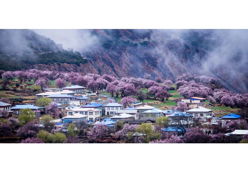 姚莊村(山東省菏澤市巨野縣田橋鎮下轄村) 姚莊村(山東省菏澤市巨野縣田橋鎮下轄村)