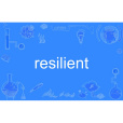 resilient(英語單詞) resilient(英語單詞)