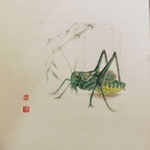 王雨