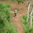 姚銘村 姚銘村