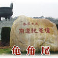 龜角尾 龜角尾