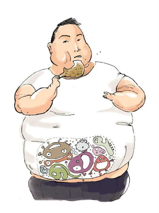肥胖細菌