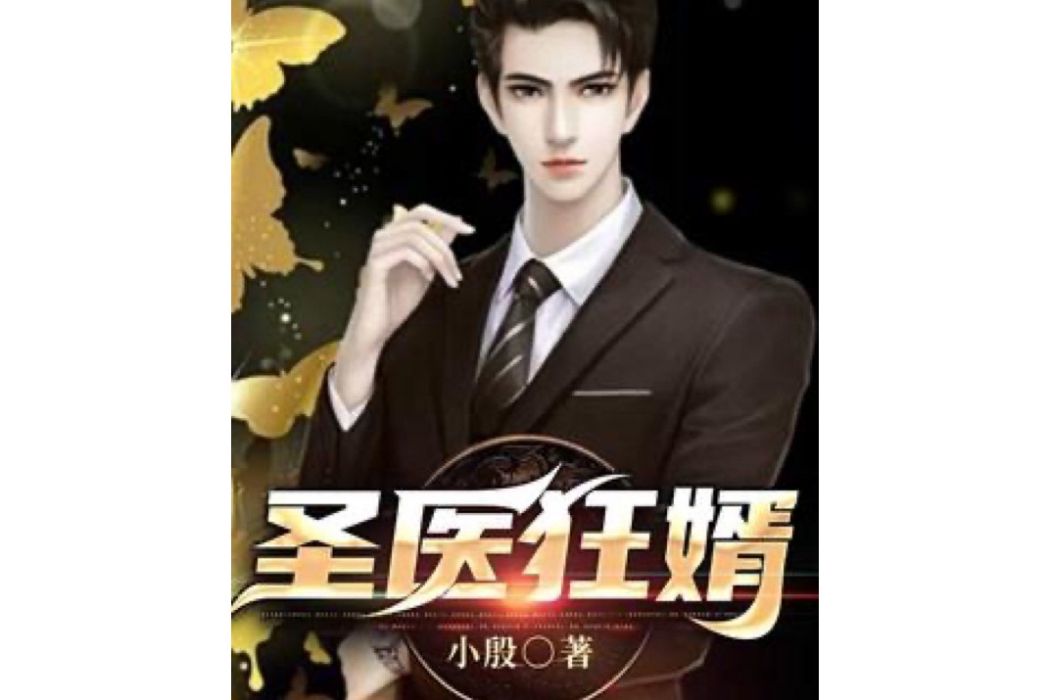 聖醫狂婿(小殷所著小說)