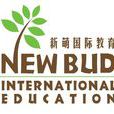 新萌 新萌