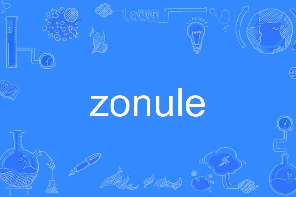 zonule zonule