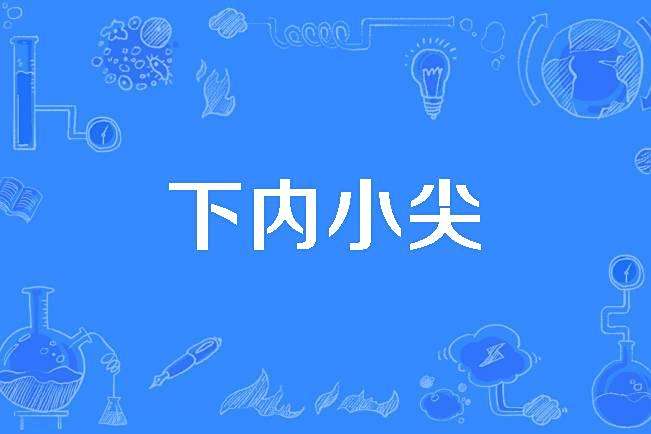 下內小尖 下內小尖