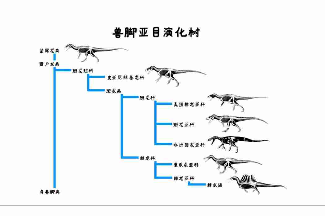斑龍超科 斑龍超科