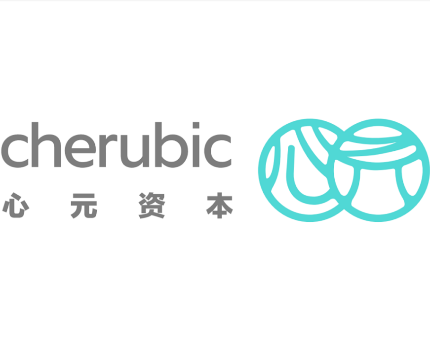心元資本 心元資本