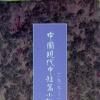 中國現代中短篇小說選（上下兩冊）