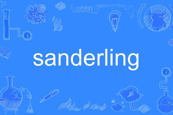 sanderling sanderling