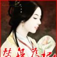替身為妃 替身為妃
