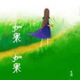 如果如果 如果如果