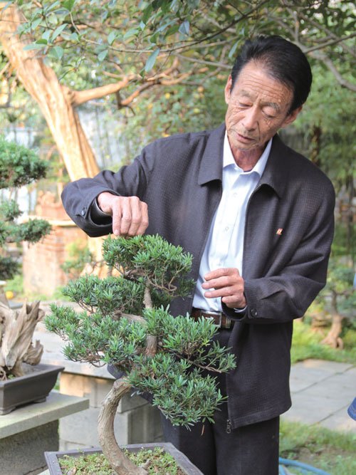 花漢民 花漢民