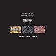野孩子([美] 威廉·巴勒斯所著小說)