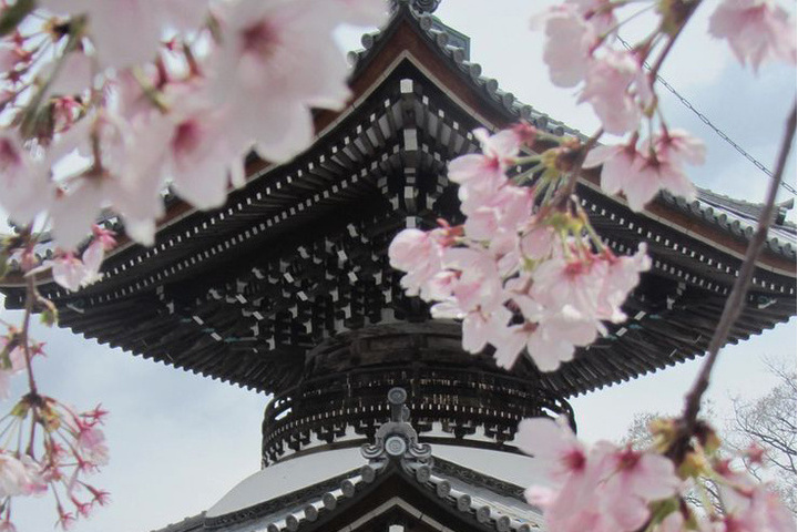 東京橙花 東京橙花