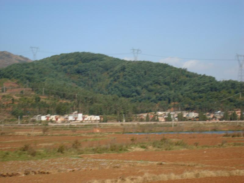 麥地營村 麥地營村