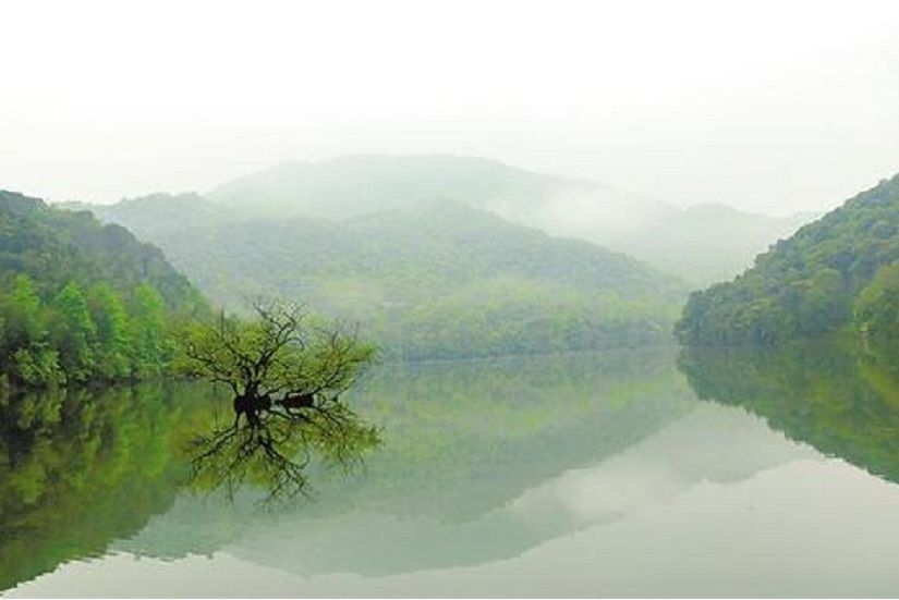 龍井湖 龍井湖