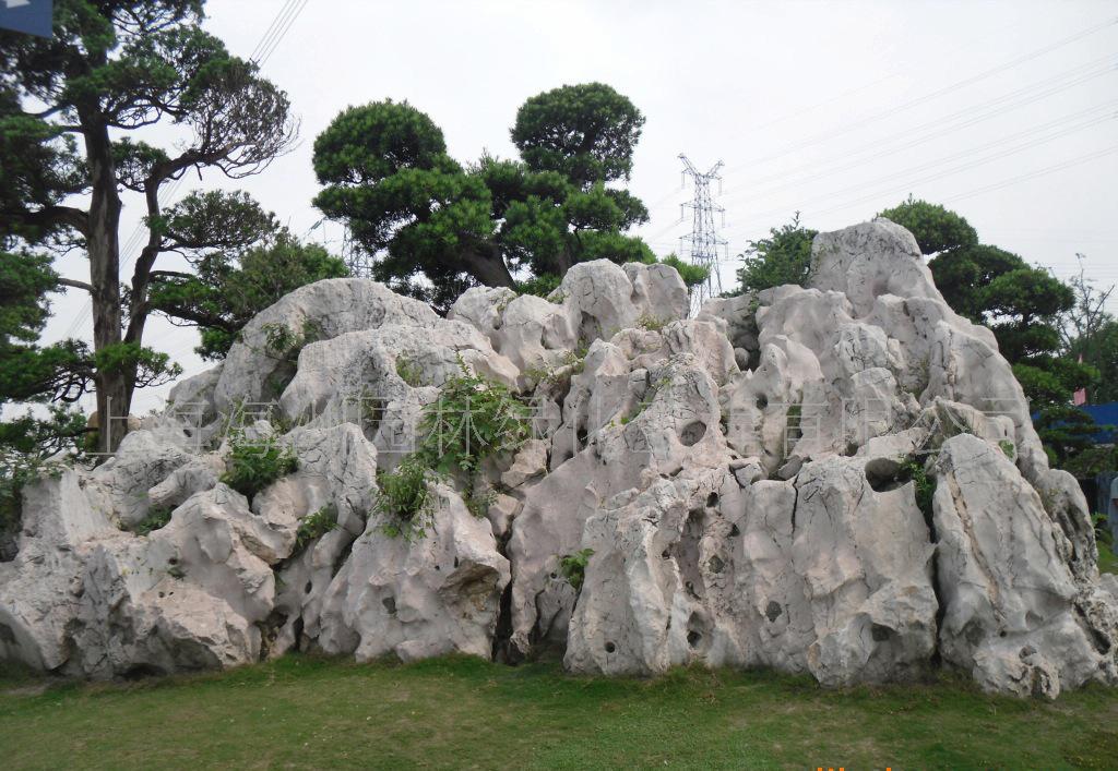 假山石(塑假石)