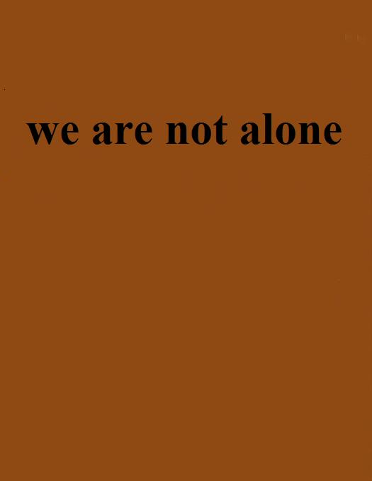 we are not alone(網路小說)