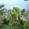畢西村 畢西村