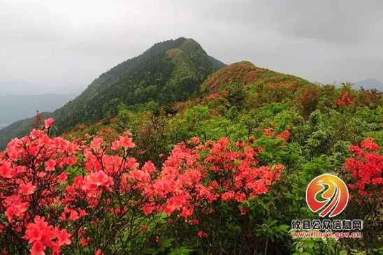 歐公山 歐公山