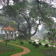 吳家涌村 吳家涌村