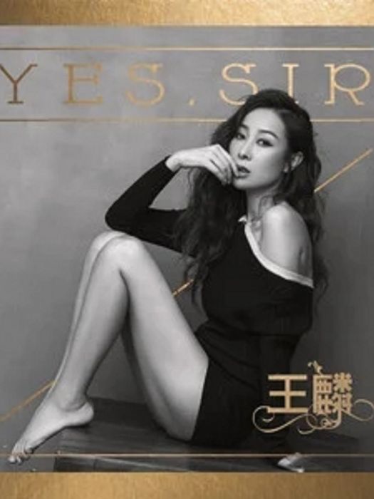 YES SIR(王麟演唱歌曲) YES SIR(王麟演唱歌曲)