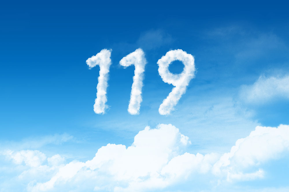 119(自然數之一)