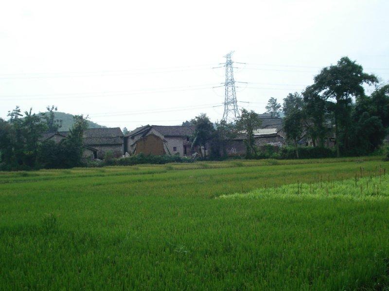 小寨自然村(雲南曲靖羅平縣板橋鎮玉馬村委會小寨自然村) 小寨自然村(雲南曲靖羅平縣板橋鎮玉馬村委會小寨自然村)