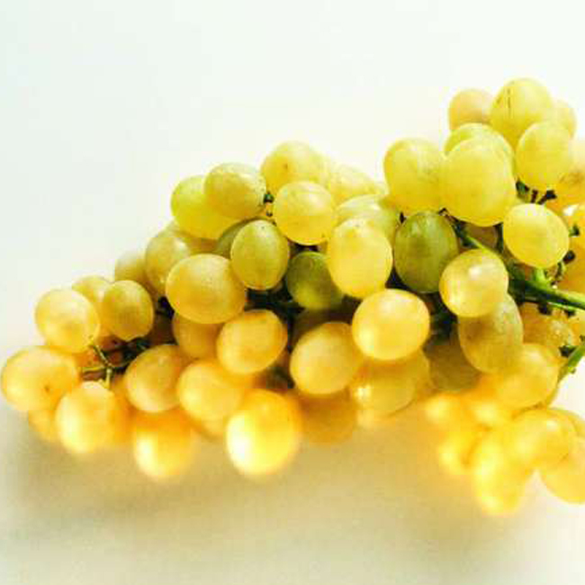 黃香密葡萄