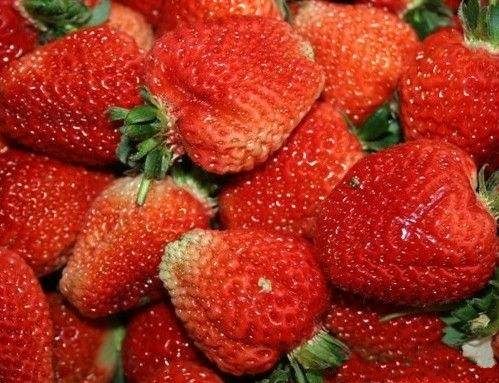 莊河草莓