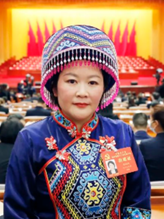 胡曉玲(第十四屆全國人大代表,四川省宣漢縣龍泉土家族鄉黃連村黨支部書記) 胡曉玲(第十四屆全國人大代表,四川省宣漢縣龍泉土家族鄉黃連村黨支部書記)